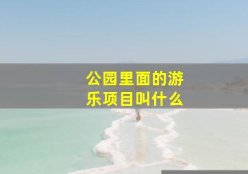 公园里面的游乐项目叫什么