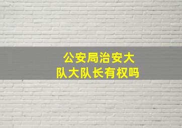 公安局治安大队大队长有权吗