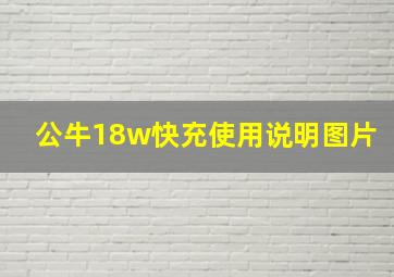 公牛18w快充使用说明图片