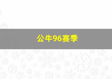 公牛96赛季