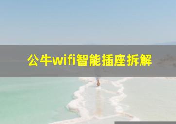 公牛wifi智能插座拆解