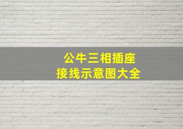 公牛三相插座接线示意图大全