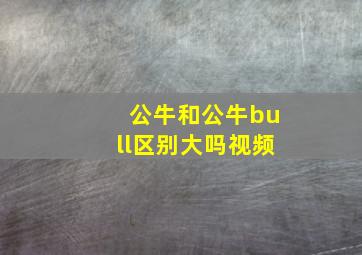 公牛和公牛bull区别大吗视频