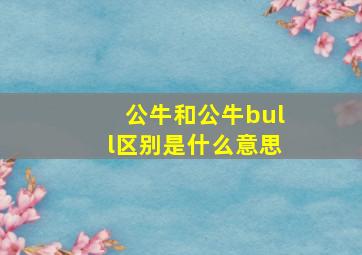 公牛和公牛bull区别是什么意思