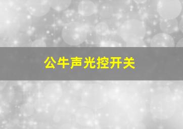 公牛声光控开关