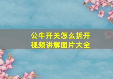 公牛开关怎么拆开视频讲解图片大全