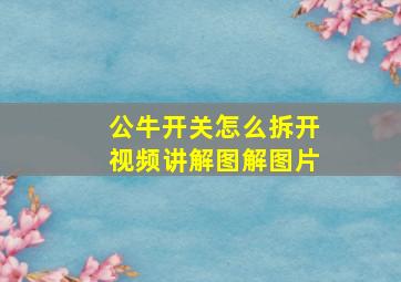 公牛开关怎么拆开视频讲解图解图片