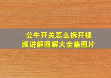 公牛开关怎么拆开视频讲解图解大全集图片