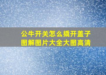 公牛开关怎么撬开盖子图解图片大全大图高清