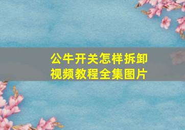 公牛开关怎样拆卸视频教程全集图片