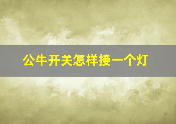 公牛开关怎样接一个灯