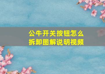 公牛开关按钮怎么拆卸图解说明视频