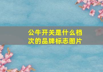 公牛开关是什么档次的品牌标志图片