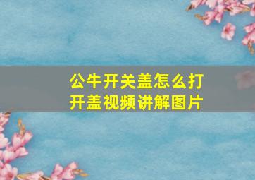 公牛开关盖怎么打开盖视频讲解图片