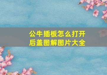 公牛插板怎么打开后盖图解图片大全