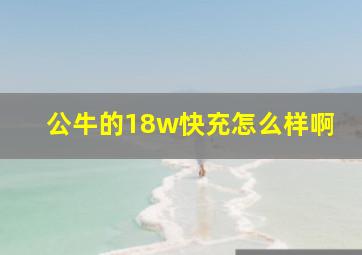 公牛的18w快充怎么样啊