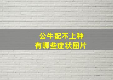 公牛配不上种有哪些症状图片