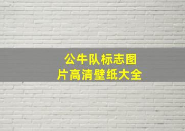 公牛队标志图片高清壁纸大全