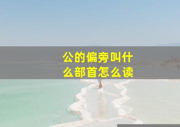 公的偏旁叫什么部首怎么读