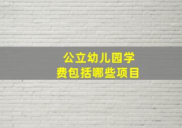 公立幼儿园学费包括哪些项目