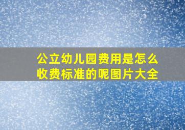 公立幼儿园费用是怎么收费标准的呢图片大全