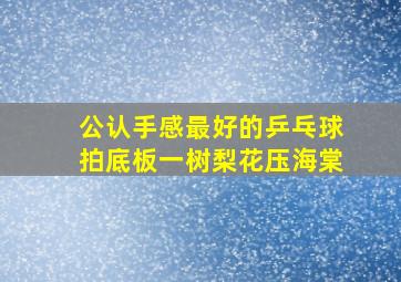 公认手感最好的乒乓球拍底板一树梨花压海棠