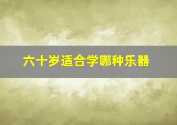 六十岁适合学哪种乐器