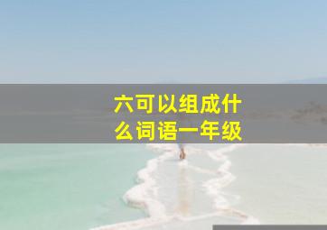 六可以组成什么词语一年级