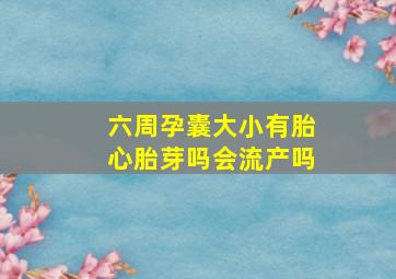 六周孕囊大小有胎心胎芽吗会流产吗