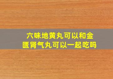 六味地黄丸可以和金匮肾气丸可以一起吃吗