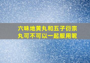 六味地黄丸和五子衍宗丸可不可以一起服用呢