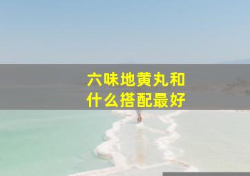 六味地黄丸和什么搭配最好