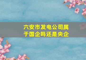 六安市发电公司属于国企吗还是央企