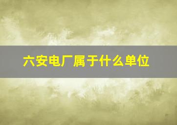 六安电厂属于什么单位