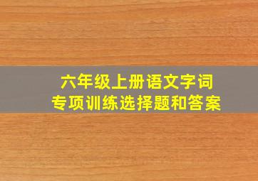 六年级上册语文字词专项训练选择题和答案