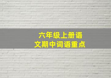 六年级上册语文期中词语重点