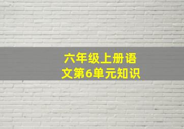 六年级上册语文第6单元知识