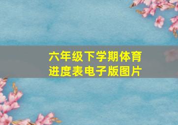 六年级下学期体育进度表电子版图片