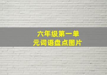 六年级第一单元词语盘点图片