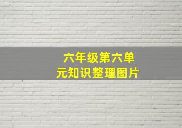 六年级第六单元知识整理图片