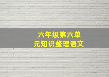 六年级第六单元知识整理语文