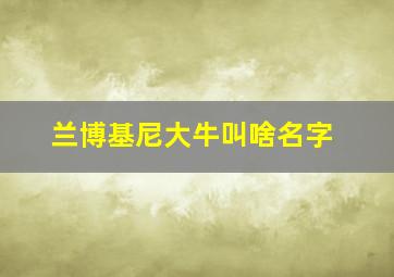 兰博基尼大牛叫啥名字