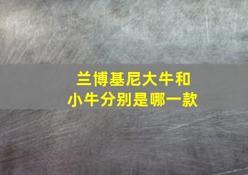 兰博基尼大牛和小牛分别是哪一款