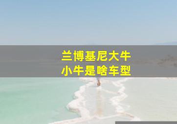 兰博基尼大牛小牛是啥车型