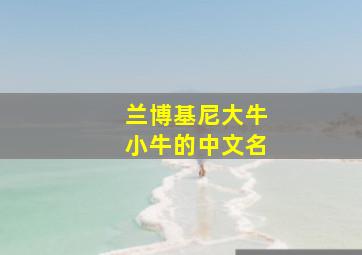 兰博基尼大牛小牛的中文名