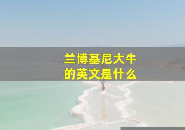 兰博基尼大牛的英文是什么