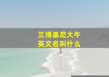 兰博基尼大牛英文名叫什么