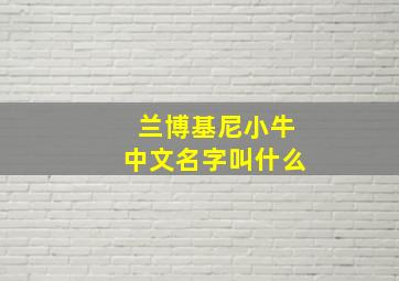 兰博基尼小牛中文名字叫什么