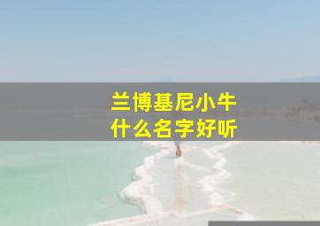 兰博基尼小牛什么名字好听