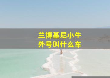 兰博基尼小牛外号叫什么车